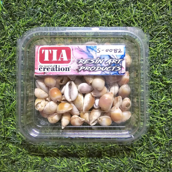 Sea Shells for Resin Art (S0082)