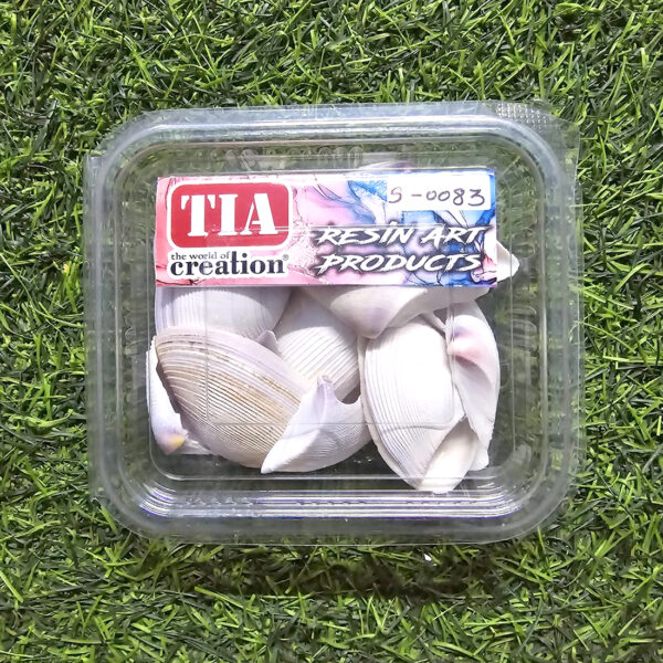 Sea Shells for Resin Art (S0083)