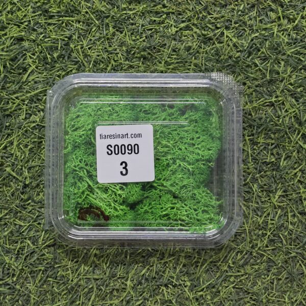 Moss Imported for Ocean Resin Art (S0090-3)