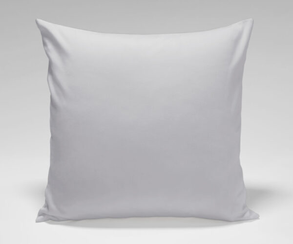 1 Plain White Pillow 16 x 16