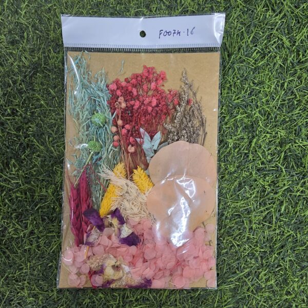 Mix Dry Flower Card Paking (F0074-16)