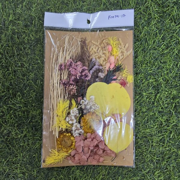 Mix Dry Flower Card Paking (F0074-17)