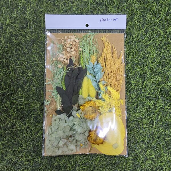 Mix Dry Flower Card Paking (F0074-18)