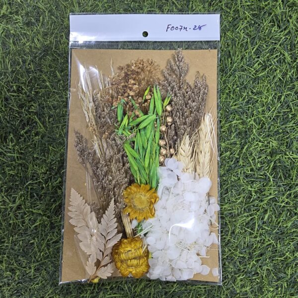 Mix Dry Flower Card Paking (F0074-28)