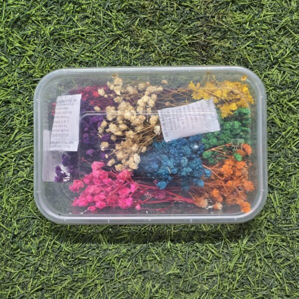 Mix Color B Breath Dry Flower (F0125)