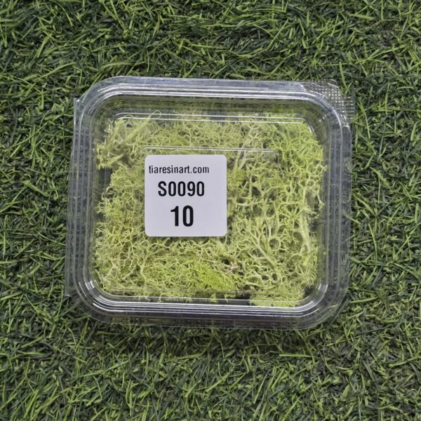 Moss Imported for Ocean Resin Art (S0090-10)