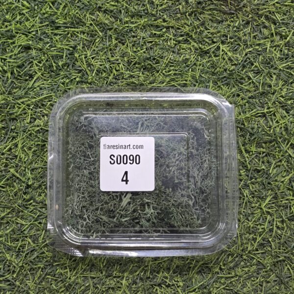 Moss Imported for Ocean Resin Art (S0090-4)