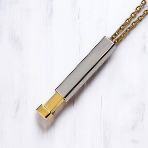 Hidden Bar Pendent (5-Silver-Gold)